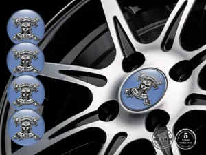 Logo Silicone Adesivi Cascade Momentum Racing Pro